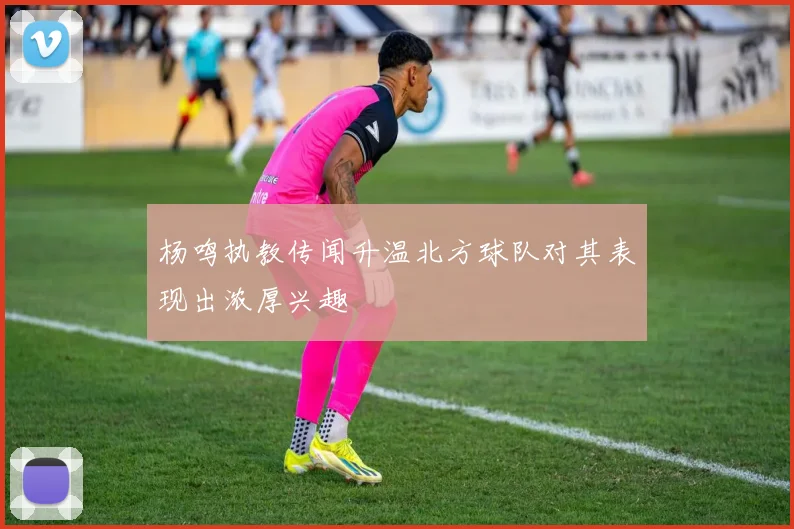 杨鸣执教传闻升温北方球队对其表现出浓厚兴趣