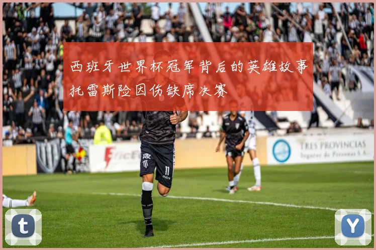 西班牙世界杯冠军背后的英雄故事托雷斯险因伤缺席决赛
